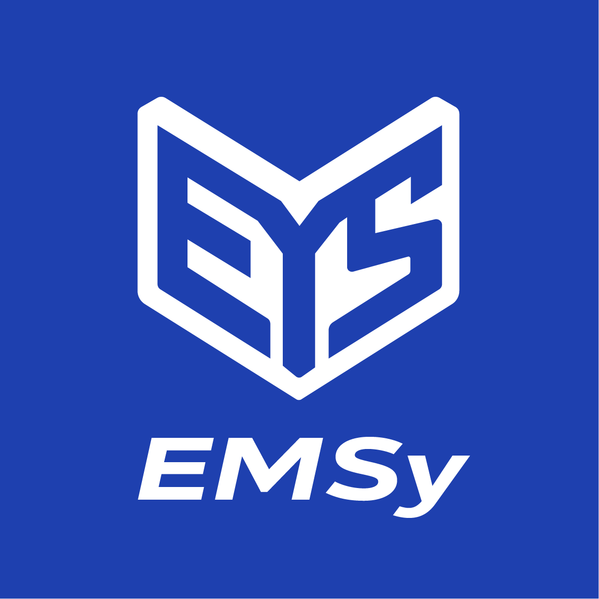 EMSy srl